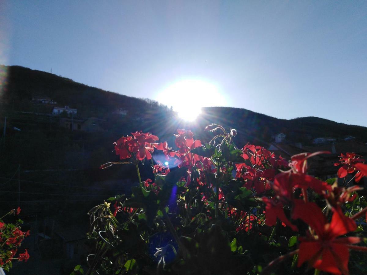 Angolo Fiorito Agerola Esterno foto